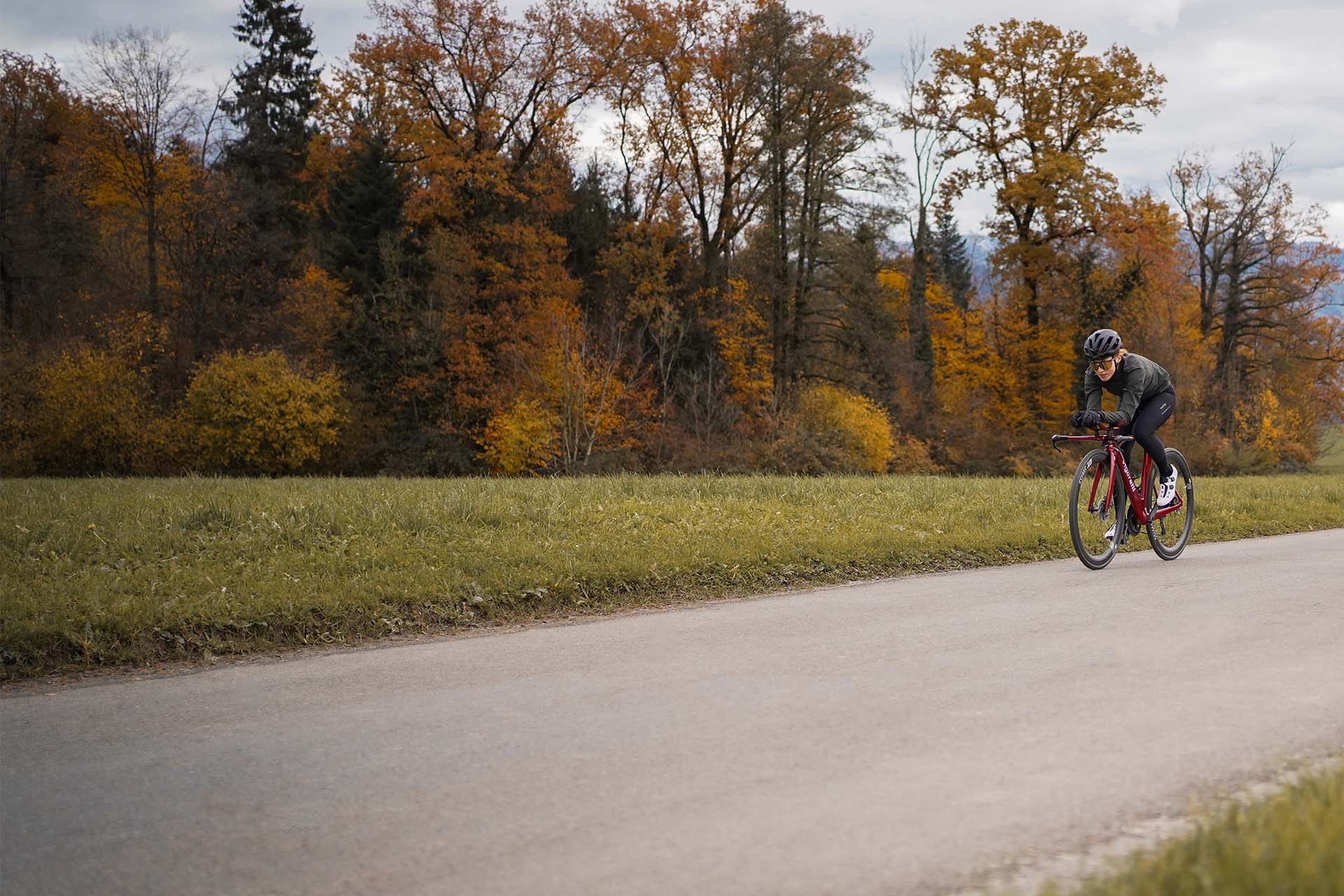 Road Bike Store Bewertungen Vigorelli